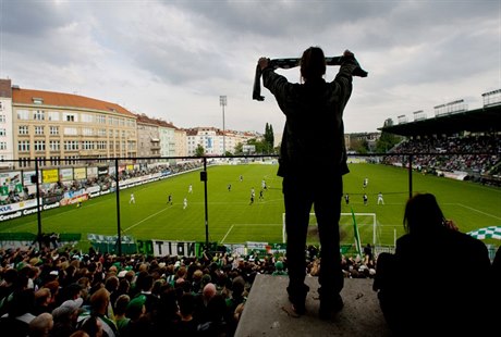 Stadion olíek