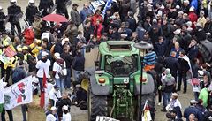 Protest se úastnili i zemdlci z eské republiky, pijeli spolen autobusem.