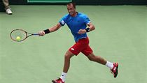 Lukáš Rosol během utkání daviscupové baráže proti Indii. | na serveru Lidovky.cz | aktuální zprávy