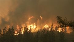 Kalifornské lesní poáry: plameny lehají do výky nkolika desítek metr.
