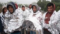 A my následující nocsice neusnuli na vavřínech, ale na karimatkách. V prudkém... | na serveru Lidovky.cz | aktuální zprávy