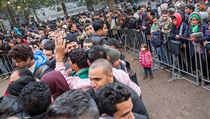 Uteenci a migranti ve front ped registranm adem v Berln.