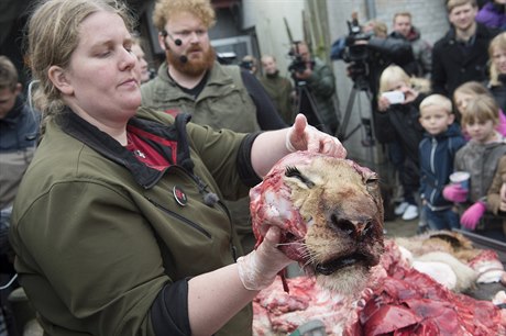 Zoologická zahrada v dánském mst Odense uspoádala veejnou pitvu rok staré...