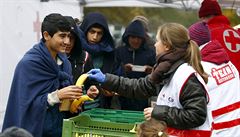 Dobrovolníci rozdávají v Rakousku banány.