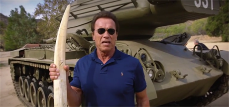 Schwarzenegger se zapojil do záchrany slon