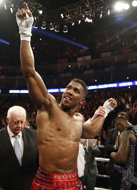 Vítz. Anthony Joshua utdil soupei K.O.