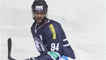 Švédský hokejista v dresu Medveščaku Záhřeb Edwin Hedberg | na serveru Lidovky.cz | aktuální zprávy