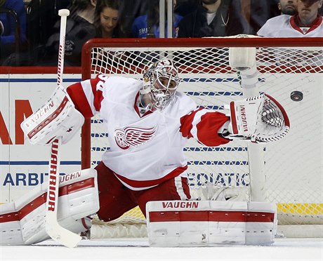 Branká Detroitu Red Wings Petr Mrázek likviduje stelu bhem zápasu s New York...