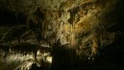 pagetov sl v Postojnsk jeskyni