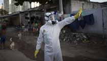 Nebezpečný virus zika ohrožuje Latinskou Ameriku | na serveru Lidovky.cz | aktuální zprávy