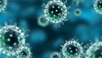 Virus. Ilustrační foto. | na serveru Lidovky.cz | aktuální zprávy