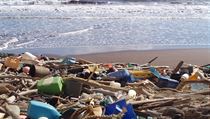 Experti varují před velkým množstvím plastů v přírodě již desítky let. Jeho... | na serveru Lidovky.cz | aktuální zprávy