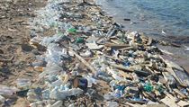 I přes početné kampaně podporující třídění odpadu, umělá hmota ohrožuje... | na serveru Lidovky.cz | aktuální zprávy