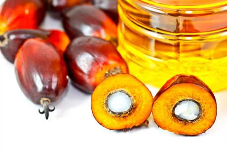 Palmový olej - ilustraní fotografie.