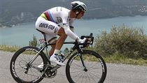 Nmeck cyklista Tony Martin ze stje Omega Pharma-QuickStep