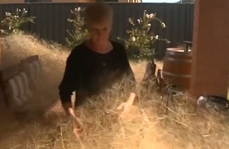 Australské město Wangaratta na jihovýchodě Austrálie zavalily chuchvalce stepní... | na serveru Lidovky.cz | aktuální zprávy Australské město Wangaratta na jihovýchodě Austrálie zavalily chuchvalce stepní... | na serveru Lidovky.cz | aktuální zprávy