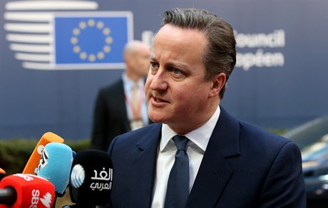 David Cameron hovoí v Bruselu s novinái.