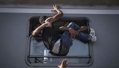 Souást úspné série o uprchlících na World Press Photo.