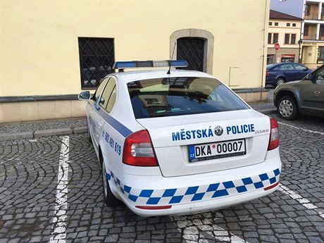 Vz mstské policie s registraní znakou na pání.