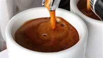 Lidé netuší, jak vypadá správné espresso. | na serveru Lidovky.cz | aktuální zprávy
