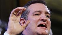 Ted Cruz. | na serveru Lidovky.cz | aktuální zprávy