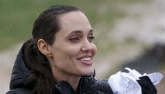 Angelina Jolie je vyslancem Organizace spojených národ.