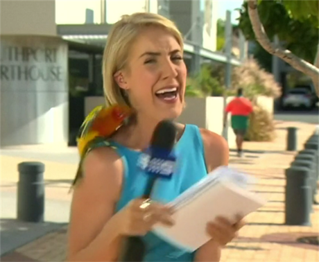 Reportérce neekan usedl na rameno papouek.