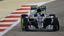 Nico Rosberg | na serveru Lidovky.cz | aktuální zprávy