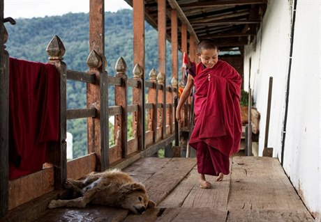Jedenáctiletý mnich Dorji z Bhútánu má ji od narození postiené nohy. Od svých...