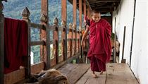Jedenctilet mnich Dorji z Bhtnu m ji od narozen postien nohy. Od svch...