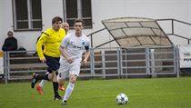Rozhodčí Ivo Polák chtěl ve Staré Boleslavi úřadoval, domácí hráči mu to ale... | na serveru Lidovky.cz | aktuální zprávy