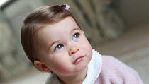 Princezna se narodila loni 2. kvtna princi Williamovi a jeho manelce Kate...