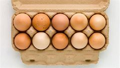 Penáení vajíek. Jak vznikl kartonový obal?