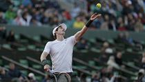 Andy Murray v zpase 1. kola French Open proti Radku tpnkovi.