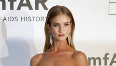 Modelka a hereka Rosie Huntington-Whiteley.