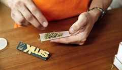 Joint marihuany (ilustraní foto).