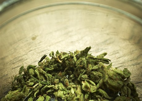 Marihuana (ilustraní foto)