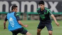 Alan Pulido na trninku.