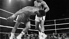Muhammad Ali v 8. kole slavné bitvy knokautuje soupee. George Foreman jde k...