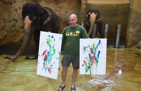 Slonice v ústecké zoologické zahrad malují obrazy.