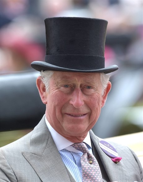 Britský korunní princ Charles.