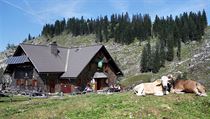 Od Vídeňských Alp až do Mostviertelu na vás čekají skvěle upravené turistické... | na serveru Lidovky.cz | aktuální zprávy