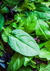 Le Figaro: Ohrožuje veganská dieta naše zdraví? Léto ve znamení salátů. Poznáte, který je který? | na serveru Lidovky.cz | aktuální zprávy