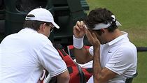 Semifinále Wimbledonu mezi Milošem Raoničem a Rogerem Federerem. | na serveru Lidovky.cz | aktuální zprávy