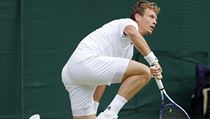 Semifinále Wimbledonu Andy Murray vs. Tomáš Berdych. | na serveru Lidovky.cz | aktuální zprávy