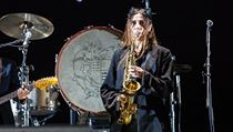Festival Pohoda, Trenn 7. ervence 2016 (PJ Harvey)