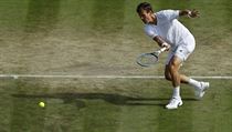 Zopakuje Tom Berdych na Wimbledonu svou est let starou finlovou ast?