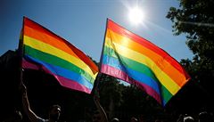 Duhové vlajky jsou symbolem komunity LGBT.