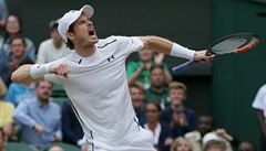 Andy Murray se raduje z vítzného utkání