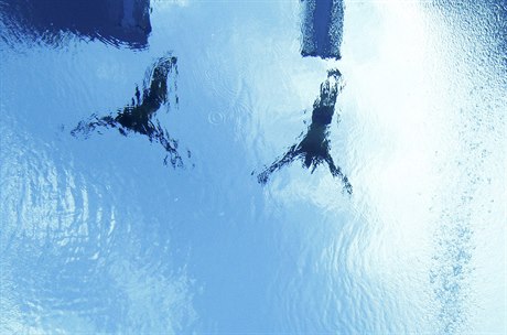 Plavání - ilustraní foto